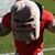 Bailey Chitwood's profile image