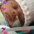 Valerie Williams's profile image