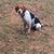 Haywood Ware Jr.'s profile image