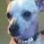 Mia Mobley's profile image