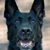 Jennifer Ruth Congdon's profile image