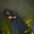 Jose Muñoz's profile image