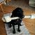 Janis L Pitts's profile image