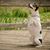 Judi Petre Jackson's profile image