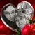 Shandra McMillan's profile image