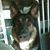 Dawn Forbes Marinoni's profile image
