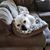 Michele Caula's profile image