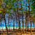 Sandi Putra's profile image