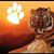 Tonya Johnson Teal's profile image