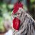 Alicia Farris's profile image