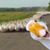 Mildred Duck's profile image