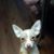 Amanda Pierson's profile image