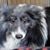 Bob Strang's profile image