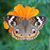 Jacqueline M. Neumann Tate's profile image