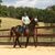 Deb McGehee's profile image