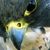 Colin Haskins's profile image