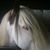 Gerry Vickers's profile image