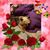 Laurie Sorhouet's profile image