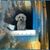 Stephane Albert's profile image