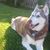 Shirley G. Scott's profile image