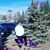 Norma H Vinalay's profile image
