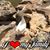 Carolynda Thompson's profile image
