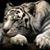 Patricia Storf's profile image