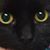 Linda Parsons's profile image