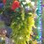 Arif Siddiqui's profile image