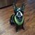 Brandon D Erickson's profile image