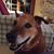 Jodi Ferreira Isenberg's profile image
