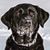 Deb Owan's profile image