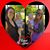 Jamie Cicchetti's profile image