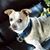 Stuart Ginger Kenyon's profile image
