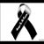 Manny Perez's profile image