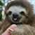 Jim Stanton's profile image