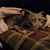Jen Moyers's profile image