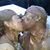Bryan Bewer's profile image