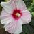 Kathy Effinger's profile image