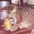 Stacy Gonzalez's profile image