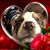Susan Pierson Whitworth's profile image