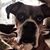 Kristy Walendowski's profile image