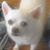 Mary Patrick's profile image