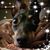 Mary Slancik Knight's profile image