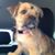 Shelina Reneau's profile image