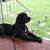 Cyndy Smith's profile image