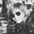 Cira Frulio's profile image