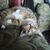 Kadee Rutledge's profile image