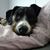 Shannon McGrath Martin's profile image
