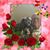 Donna Johnson Lucas's profile image